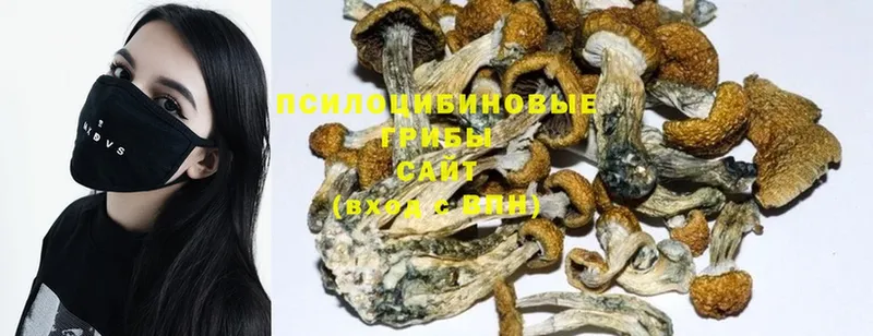 Псилоцибиновые грибы Psilocybe  МЕГА ССЫЛКА  Омск 